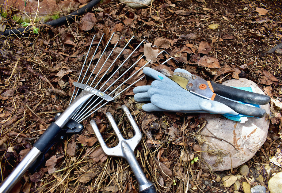 End of summer garden cleanup